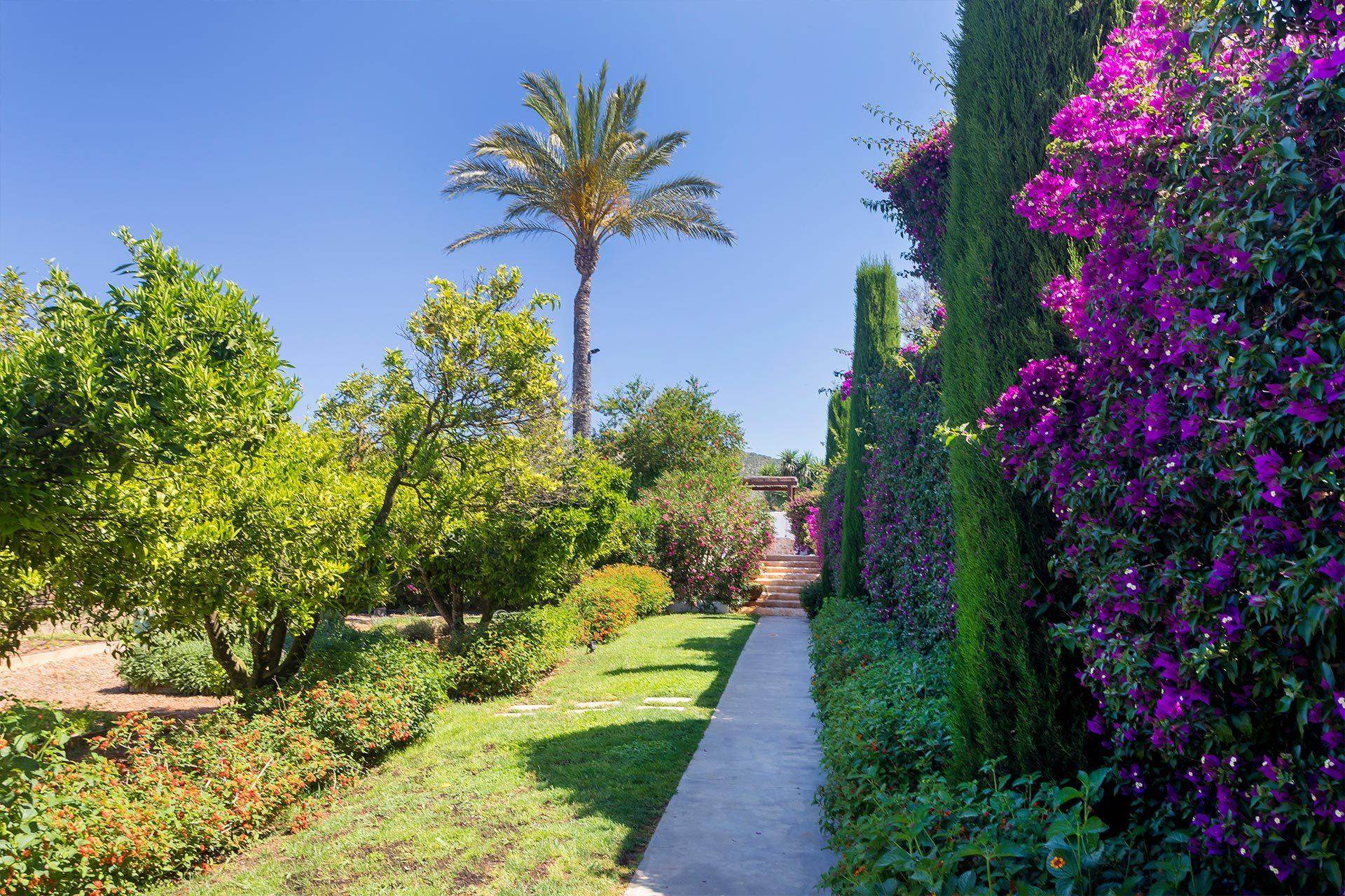 atzaro-spa-ibiza-retreats-4